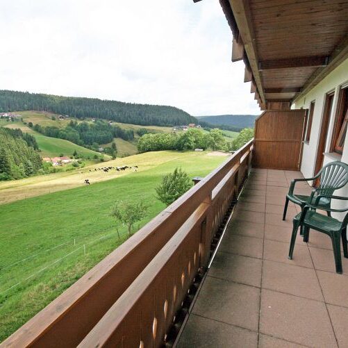 Ferienwohnung 1 Fleigenhof 6