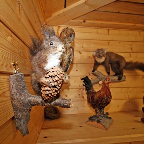 Kinder auf dem Fleigenhof 20