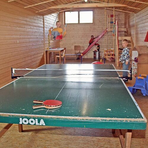 Kinder auf dem Fleigenhof 4