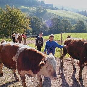 Kinder auf dem Fleigenhof 8