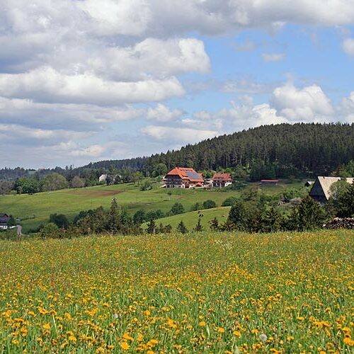 Unser Haus Fleigenhof 1