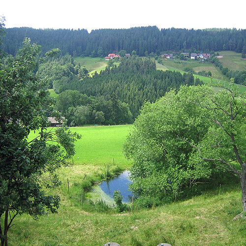 Unser Haus Fleigenhof 10