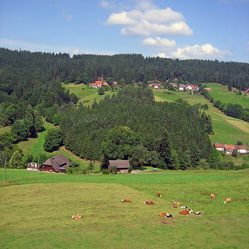 Unser Haus Fleigenhof 11