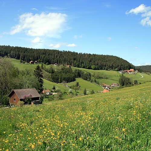 Unser Haus Fleigenhof 13