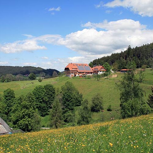 Unser Haus Fleigenhof 14