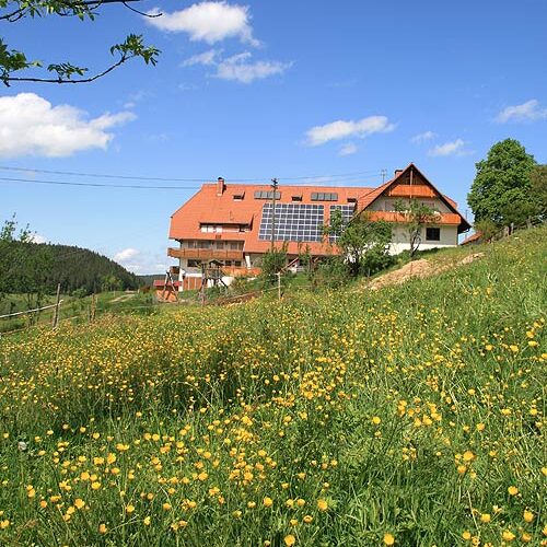 Unser Haus Fleigenhof 16