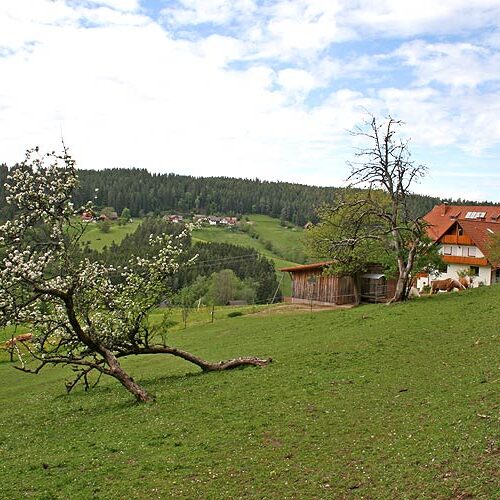 Unser Haus Fleigenhof 9