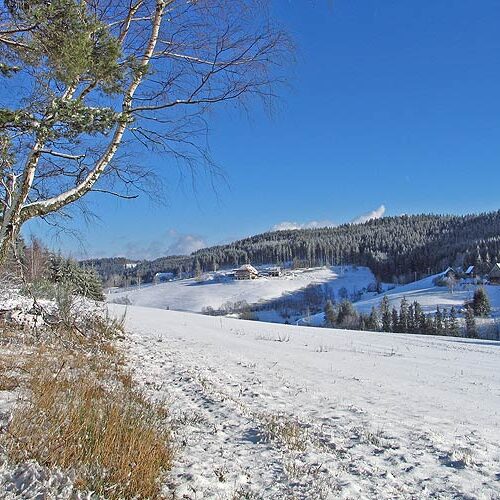 Winter auf dem Fleigenhof 1
