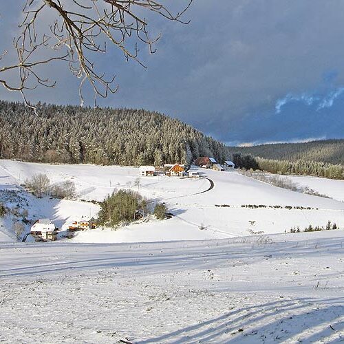 Winter auf dem Fleigenhof 2