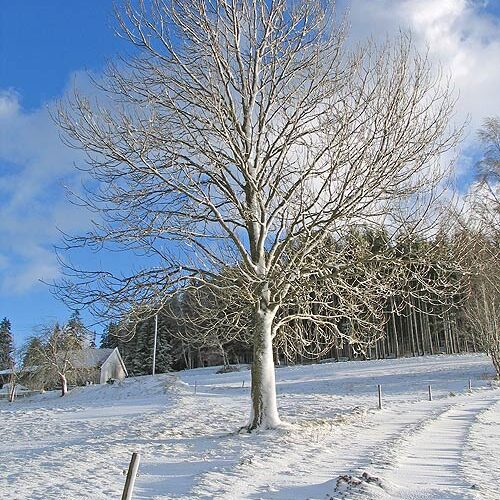 Winter auf dem Fleigenhof 3