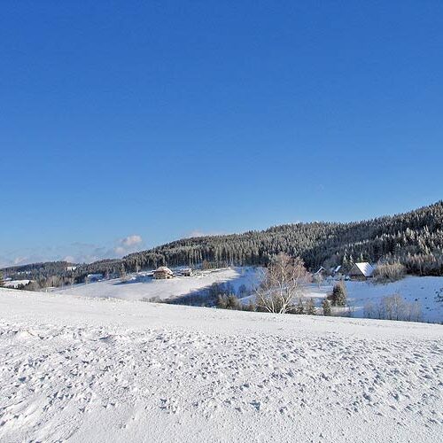 Winter auf dem Fleigenhof 4