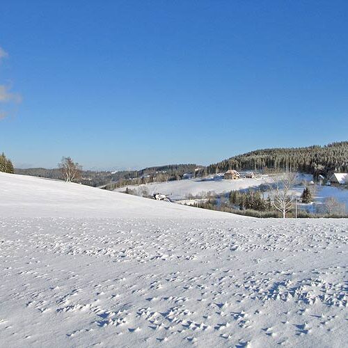 Winter auf dem Fleigenhof 5
