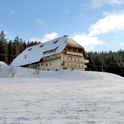 Winter auf dem Fleigenhof 8