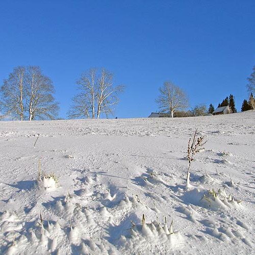 Winter auf dem Fleigenhof 9