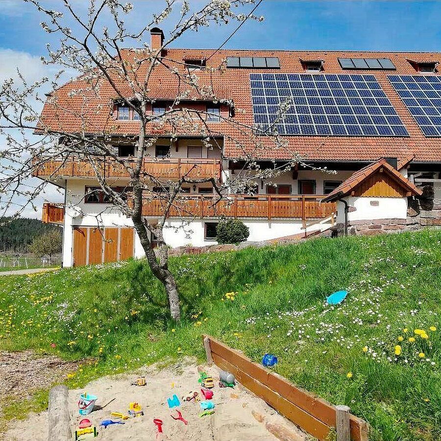 Kinder auf dem Fleigenhof 20